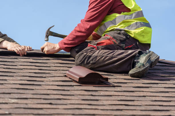 Best Roof Gutter Cleaning  in Campti, LA