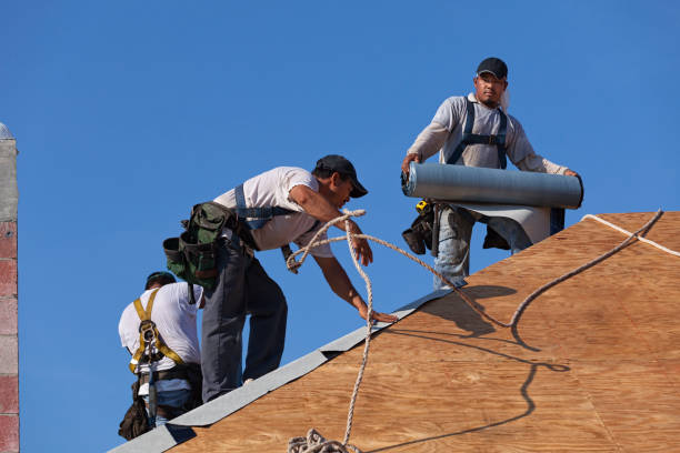 Best Roof Waterproofing Services  in Campti, LA