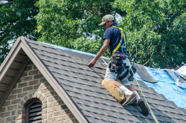 Best Roofing Contractor Near Me  in Campti, LA